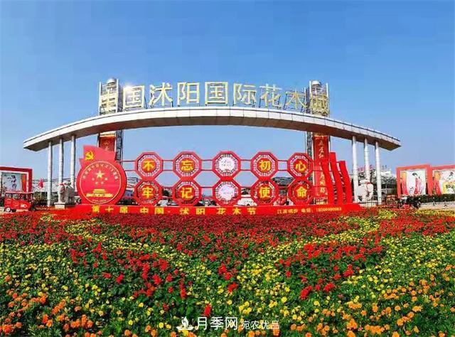 值得收藏！這些全國著名苗木產地你知道幾個？