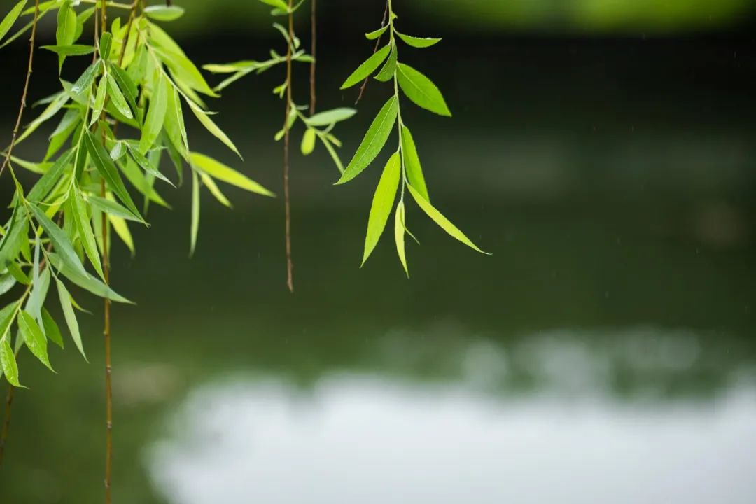 1673157226375482.jpg 微信圖片_20230102170421.jpg